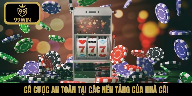 Cá cược an toàn tại các nền tảng của nhà cái