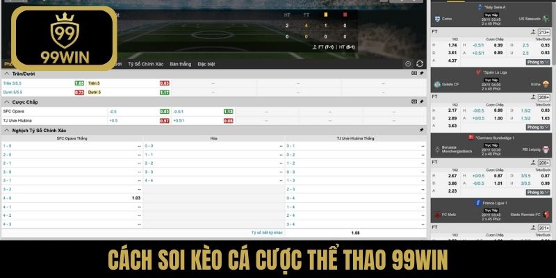 Cách soi kèo cá cược thể thao 99WIN