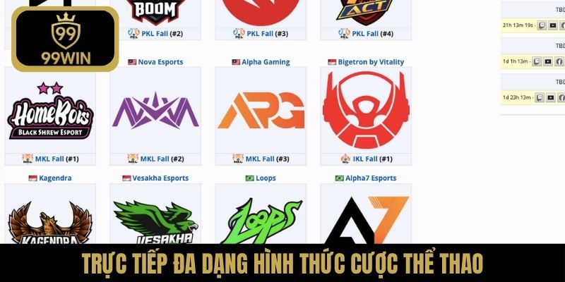 Trực tiếp đa dạng hình thức cược thể thao